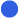 Blu2 Blu2